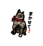 サビ猫のミーコ（個別スタンプ：25）