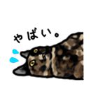 サビ猫のミーコ（個別スタンプ：27）