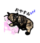 サビ猫のミーコ（個別スタンプ：28）