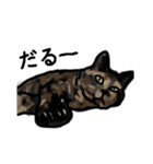 サビ猫のミーコ（個別スタンプ：32）
