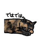 サビ猫のミーコ（個別スタンプ：34）