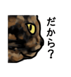 サビ猫のミーコ（個別スタンプ：36）