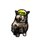サビ猫のミーコ（個別スタンプ：38）