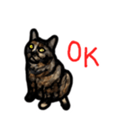 サビ猫のミーコ（個別スタンプ：39）