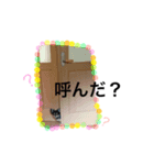 syokora and sometimes friends（個別スタンプ：8）