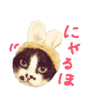 使えるカワイイ三匹のネコ♪（個別スタンプ：13）