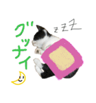 使えるカワイイ三匹のネコ♪（個別スタンプ：30）