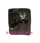 クロさんの日常（個別スタンプ：12）