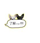 メイとトト（個別スタンプ：1）