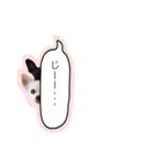 メイとトト（個別スタンプ：5）