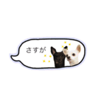 メイとトト（個別スタンプ：6）