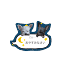 メイとトト（個別スタンプ：7）