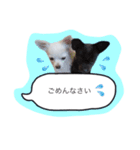 メイとトト（個別スタンプ：11）