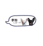 メイとトト（個別スタンプ：15）
