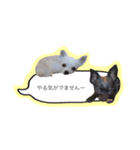 メイとトト（個別スタンプ：16）