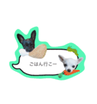 メイとトト（個別スタンプ：17）