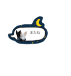 メイとトト（個別スタンプ：18）