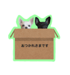 メイとトト（個別スタンプ：30）