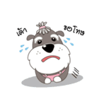 Achi Dog（個別スタンプ：9）