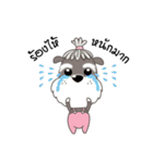 Achi Dog（個別スタンプ：24）
