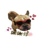 EDM DD daily（個別スタンプ：2）