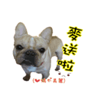 EDM DD daily（個別スタンプ：3）