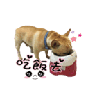 EDM DD daily（個別スタンプ：5）