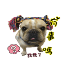 EDM DD daily（個別スタンプ：6）