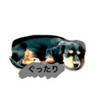かわばたさんちのいぬたち（個別スタンプ：2）