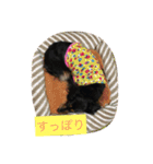 かわばたさんちのいぬたち（個別スタンプ：9）