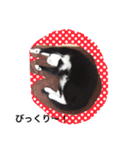 猫まみれネコ（個別スタンプ：3）