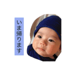 琴さんスタンプ（個別スタンプ：22）