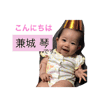 琴さんスタンプ（個別スタンプ：24）