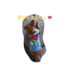 kajyu one day（個別スタンプ：6）