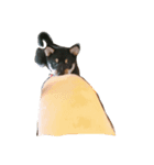 豆柴すず（個別スタンプ：6）