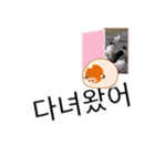 いくラッチ 2 ハングル Ver.（個別スタンプ：9）
