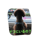 そらの日常～第1段～（個別スタンプ：2）
