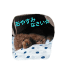 そらの日常～第1段～（個別スタンプ：3）