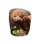 そらの日常～第1段～（個別スタンプ：4）