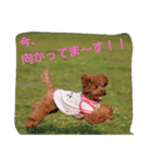 そらの日常～第1段～（個別スタンプ：5）