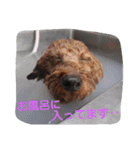 そらの日常～第1段～（個別スタンプ：8）