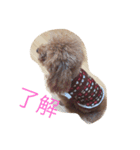 モビちゃん♡（個別スタンプ：2）