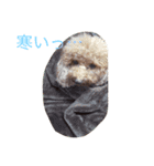 モビちゃん♡（個別スタンプ：5）