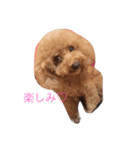 モビちゃん♡（個別スタンプ：15）
