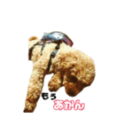 プードル兄妹（個別スタンプ：28）