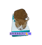 サスケ ＆ きなこ（個別スタンプ：3）