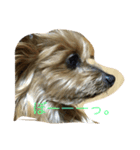 犬の方々。（個別スタンプ：4）