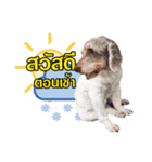 Hu To ＆ Moodang（個別スタンプ：1）