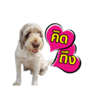 Hu To ＆ Moodang（個別スタンプ：4）