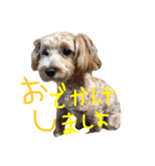 奥田家（個別スタンプ：1）